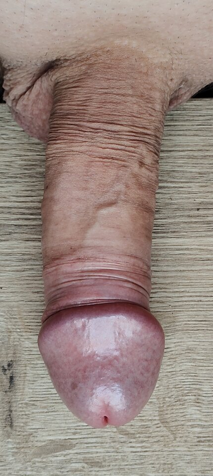 1000003777.jpg - andreas222