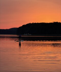 IMG_3696.jpeg