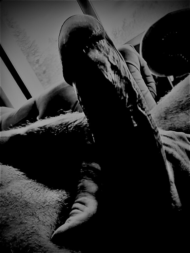 IMG_6945.jpeg - Cockouldxxxxx