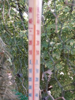 20260628_162444.jpg