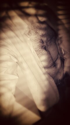 IMG_0617.jpeg