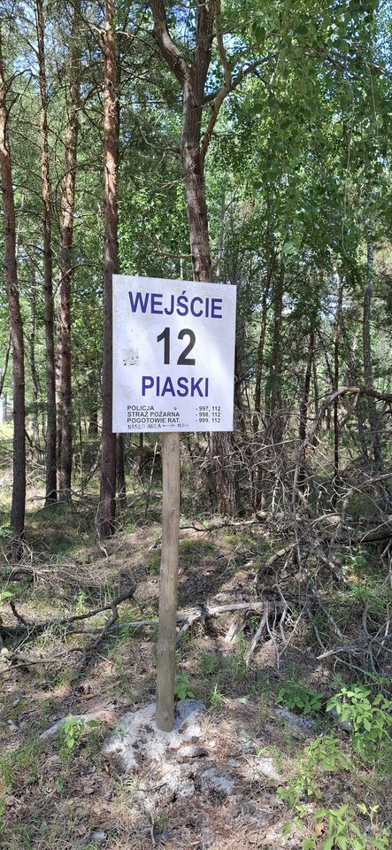 Tu też golasy.jpg - liboom