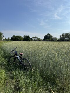 IMG_6983.jpeg