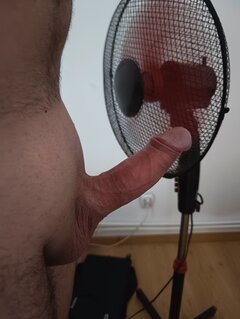 1000031528.jpg