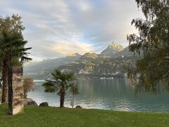 IMG_0347.jpeg