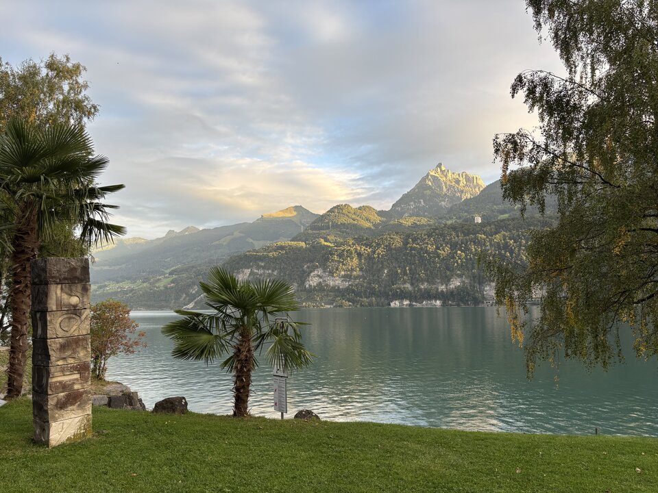IMG_0347.jpeg - Swiss85