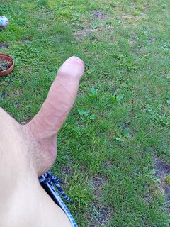 1102.jpg