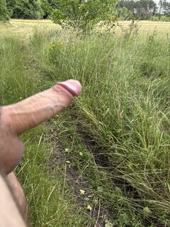 IMG_3802.jpeg
