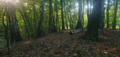 20260703_192433.jpg