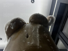 IMG_8367.jpeg