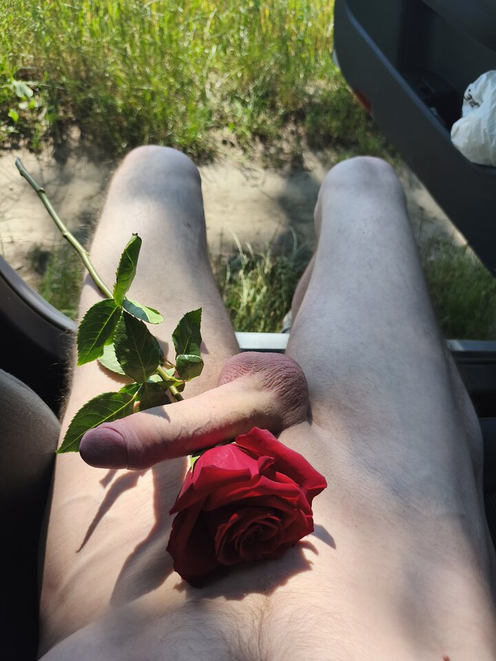 1000007263.jpg - Sebek89142
