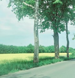 20260524_114523.jpg