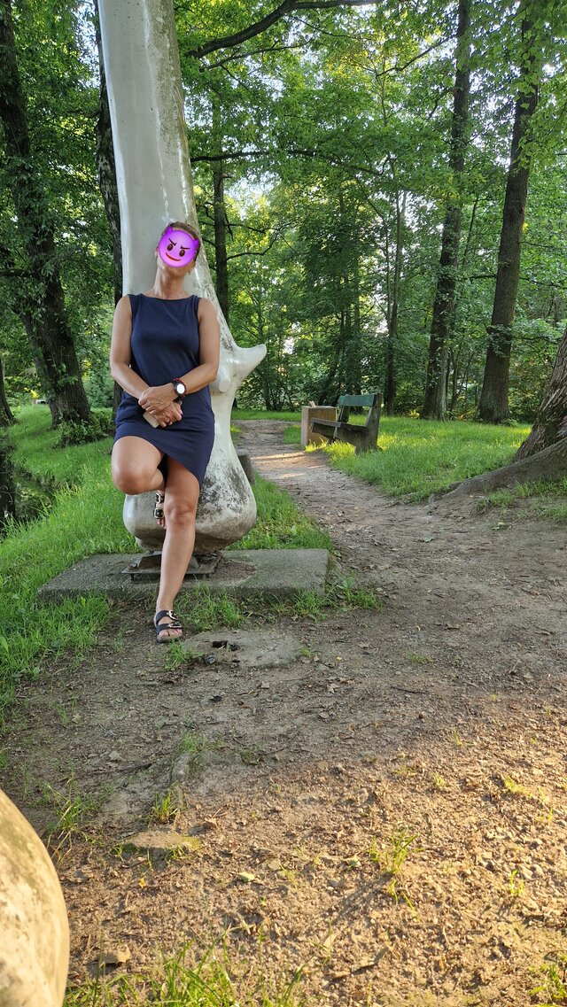 RobMiAnRo
