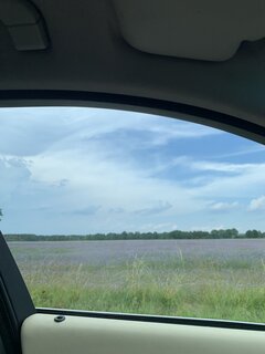 IMG_1833.jpeg