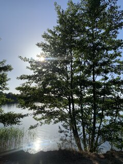 IMG_2009.jpeg
