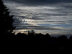 IMG_1722.jpeg