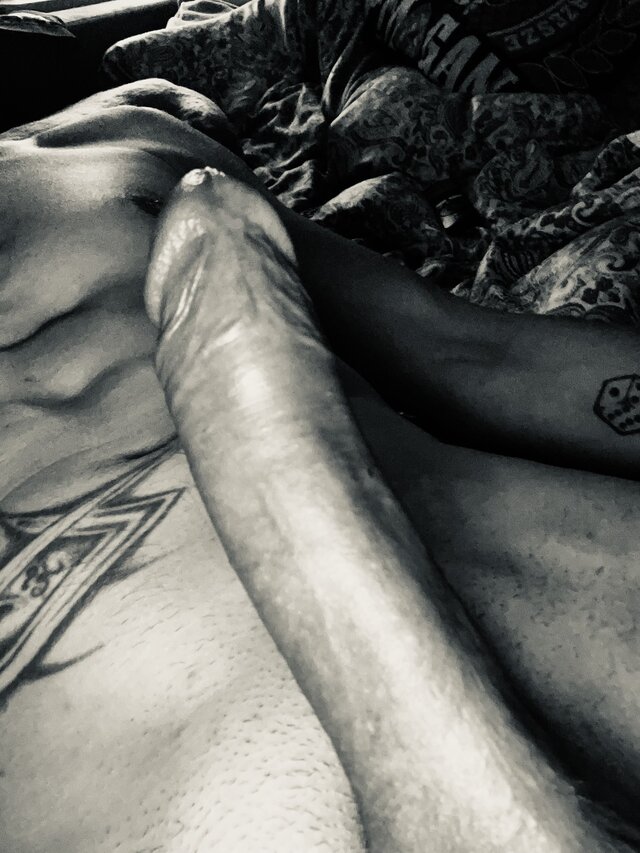 AnaFel31