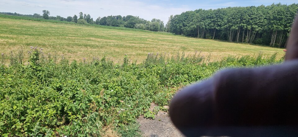 1000013572.jpg - GrzecznyGrudziadz69