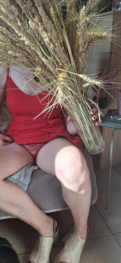 20250727_170327.jpg