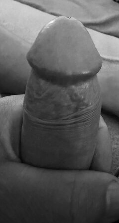 IMG_1101.jpeg
