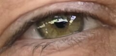 1000091750.jpg