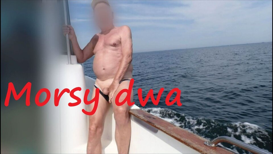 Gdzieś na morzu. - Morsy_dwa