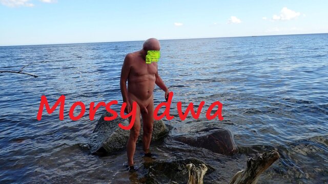 Morsy_dwa