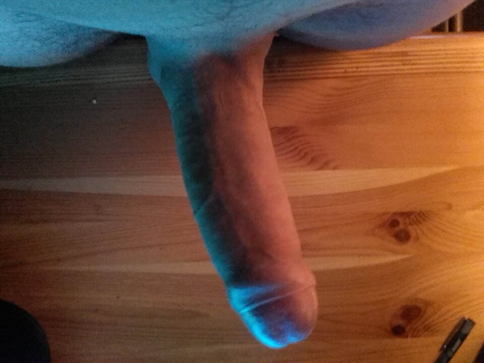 194530.jpg - WolnyWysoki197