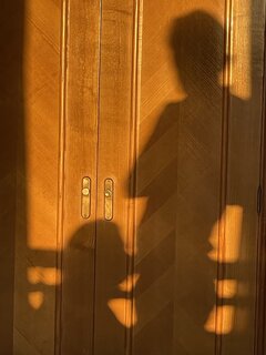 IMG_6539.jpeg