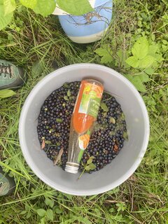 IMG_1656.jpeg
