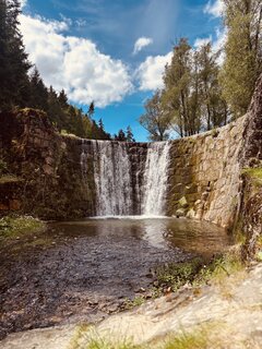 IMG_4175.jpeg