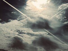 IMG_6452.jpeg
