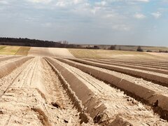 IMG_6534.jpeg