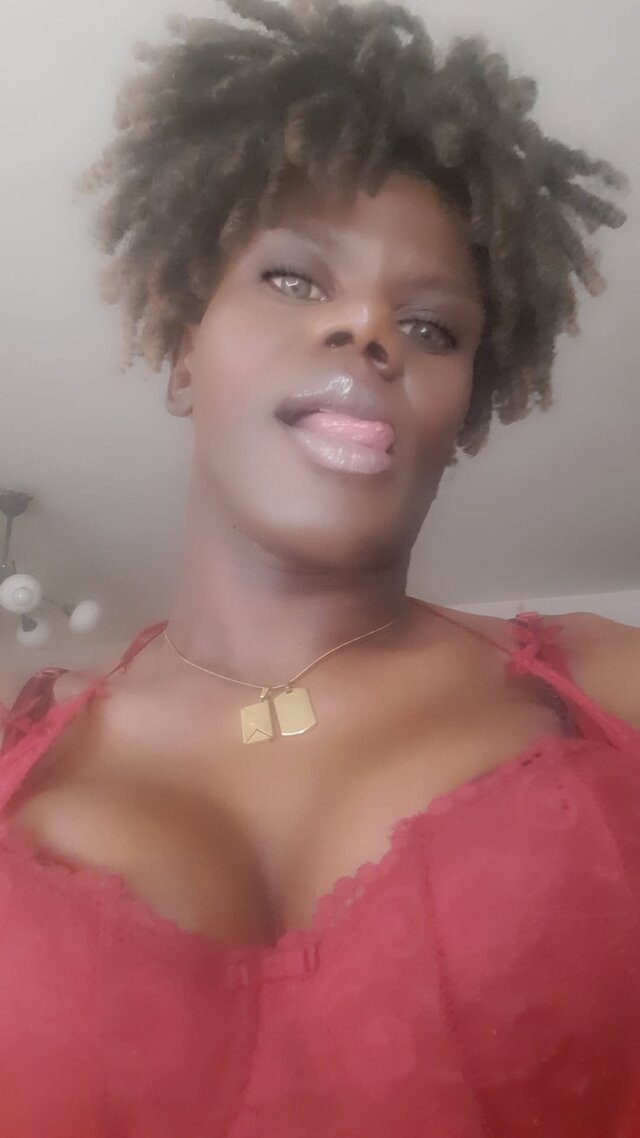OniJegoTrans