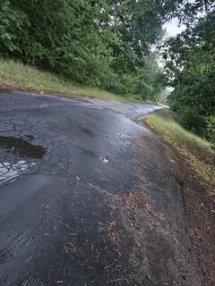 1000080276.jpg