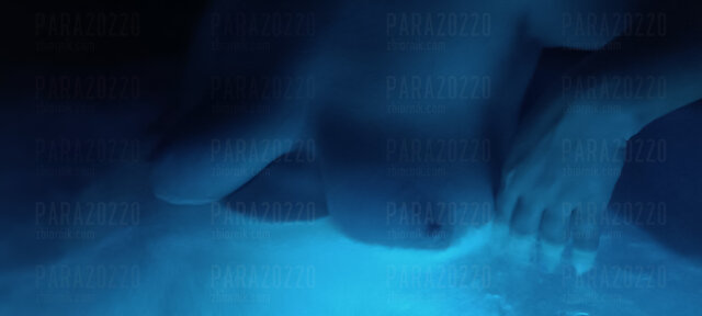 Para20220
