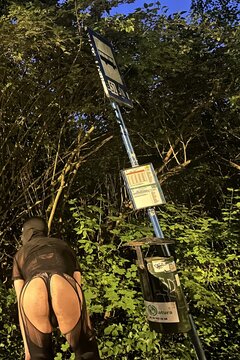 IMG_2032.jpeg