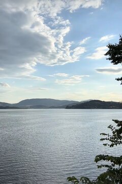 IMG_2486.jpeg