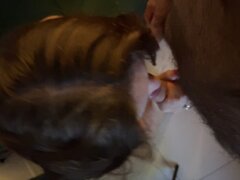 IMG_5938.jpeg