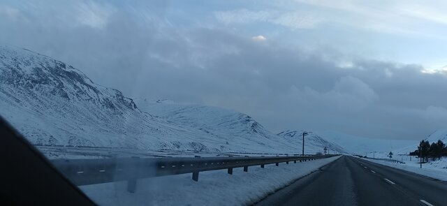 gajus