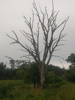 20260712_055637.jpg