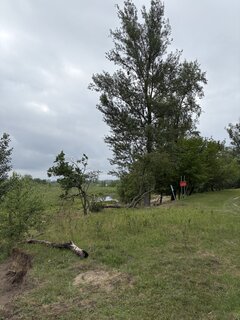 IMG_7279.jpeg