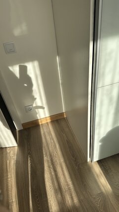 IMG_8901.jpeg