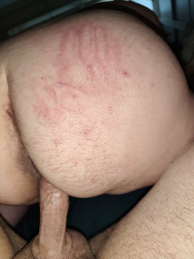MisiakiWro7788