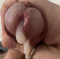 IMG_5216.jpeg