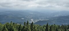 20260713_121709_095957.jpg