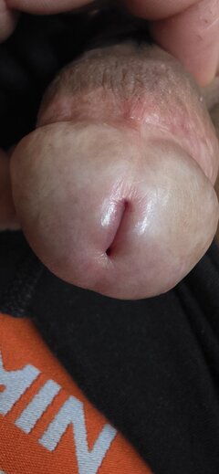 1000109690.jpg