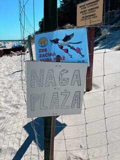 IMG_5501.jpeg