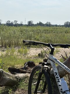 IMG_7304.jpeg