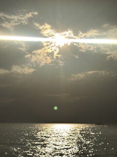 IMG_1368.jpeg